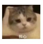 DƬ
